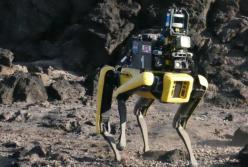 Собаки-марсиане NASA начнут изучение Красной планеты (видео)