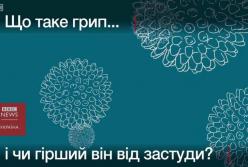 Чем грипп отличается от простуды? (видео)
