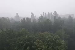 Киев накрыла мощная гроза (видео)