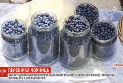 Черника из Чернобыля: будьте бдительны! (видео)