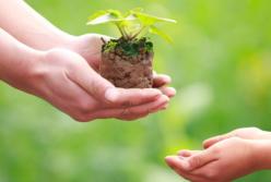 Сегодня - Международный День благотворительности (видео)