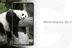 Презентация Google Pixel 3: онлайн-трансляция (видео)