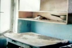 Лай, вонь и фекалии на окнах: 20 собак в маленькой квартире воют от голода (видео)