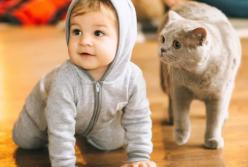 "Догоню!"- как ребенок гоняется за котом: рекордное количество просмотров (видео)