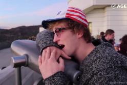 Дальтоники впервые в жизни увидели все цвета