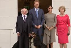 Меган Маркл и принц Гарри нашли общую страсть (видео)