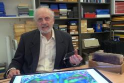 Невероятная находка в человеческом мозге озадачила ученых (видео)