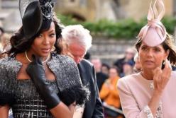 Звездные гости на свадьбе принцессы Евгении (видео)