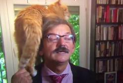 Кот ворвался в интервью и стал героем сети (видео)
