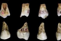 Археологи обнаружили зубы человека, которым от 80 до 100 тысяч лет (видео)