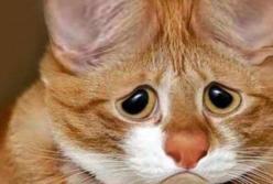 Самое сильное наказание - игнор (видео)