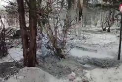 В России разбился вертолет: погибли четыре человека (видео)