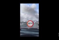В Киеве вспыхнул масштабный пожар на территории парка (видео)