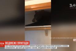 Черный медведь забрался в дом и уснул в шкафу (видео) 