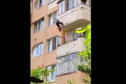 На Тернопольщине пенсионерка выпала из пятого этажа и застряла на веревках (видео)