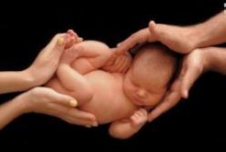 Знаменитые роженицы, которым нечего скрывать (видео)