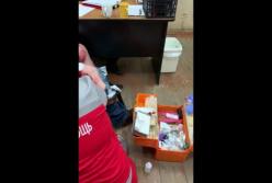 "Много крови": в России напали на любителей Путина (видео)