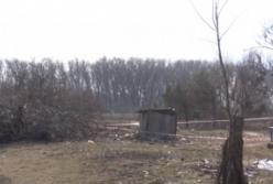 Под Черниговом повесился 5-летний ребенок: появились новые детали (видео)