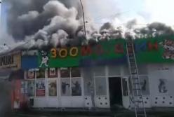 На рынке Киева произошел масштабный пожар (видео)