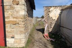 Задержанный по делу об убийстве 7-летней девочки под Херсоном сделал признание (видео)