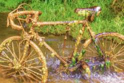 Ученые в недоумении: загадочные места, где вода все превращает в камень (видео)