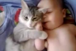 Кот притворился братом-близнецом этого младенца: обнимает лапами, как человек (видео)