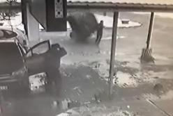 В Беларуси мужчина увернулся от кувыркавшегося автомобиля (видео)