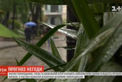 Похолодание, грозы и сильный ветер: в Украине резко поменяется погода (видео)