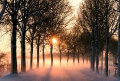 Солнечно и тепло  до +7: погода побалует украинцев (видео)