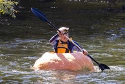 Австралієць зробив із гігантського гарбуза човен (відео)