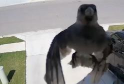 20 ошибок матрицы (видео)