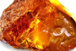 2 кг янтаря в штанах хотели провези в Россию двое украинцев (видео)