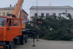 В центре Дубно установили елку, срубленную на кладбище (видео)