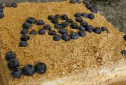 Новый рецепт вкуснейшего торта без выпечки со сливочным кремом: всего за 15 минут (видео) 