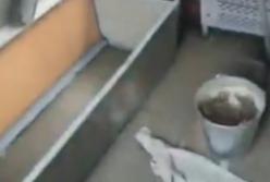 Скандал на "Укрзалізнице": вагон "утонул" (видео)