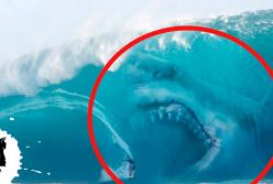 Ученые показали самого крупного хищника планеты (видео)