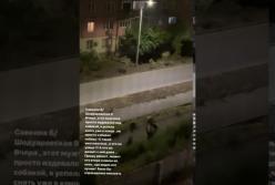 В Днепре мужчина жестоко издевался над собакой (видео)