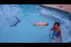 Такой маленький, а уже как рыба в воде (видео)