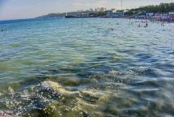Плавают в фекалиях: в Крыму произошло ЧП на популярном курорте (видео)