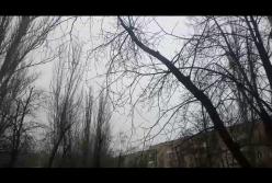 Посреди марта Украину накрыл весенний снегопад (видео)
