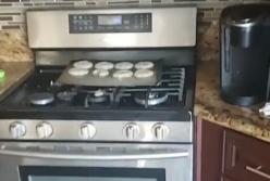 Пес украл печеньки, но уйти незамеченным ему не удалось (видео)
