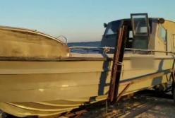 Браконьеры в Азовском море добыли рыбы на миллион (видео)