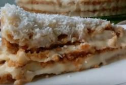 Такой вкуснотищи вы еще не пробовали: фантастический торт без выпечки (видео)