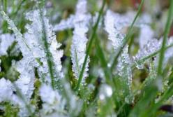 Заморозки надвигаются на Украину: завтра резко похолодает (видео)