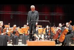 Сеть рассмешил кот, который едва не сорвал концерт классической музыки (видео)