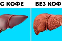 5 советов, после которых вы улучшите свое самочувствие! (видео)