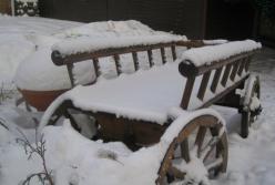 Скорая на телеге: так украинские медики вынуждены были ехать на вызов (видео) 