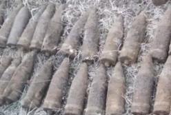 Опасный урожай: более 100 снарядов просто в украинском огороде (видео)