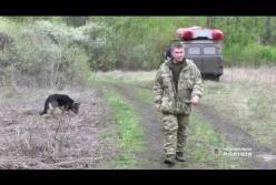 На Харьковщине нашли мертвой 6-летнюю девочку: появились детали трагедии (видео)