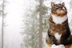 Весны не будет: в ближайшие дни похолодание накроет Украину (видео)